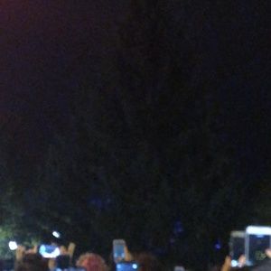 Meet your Posher, Lord